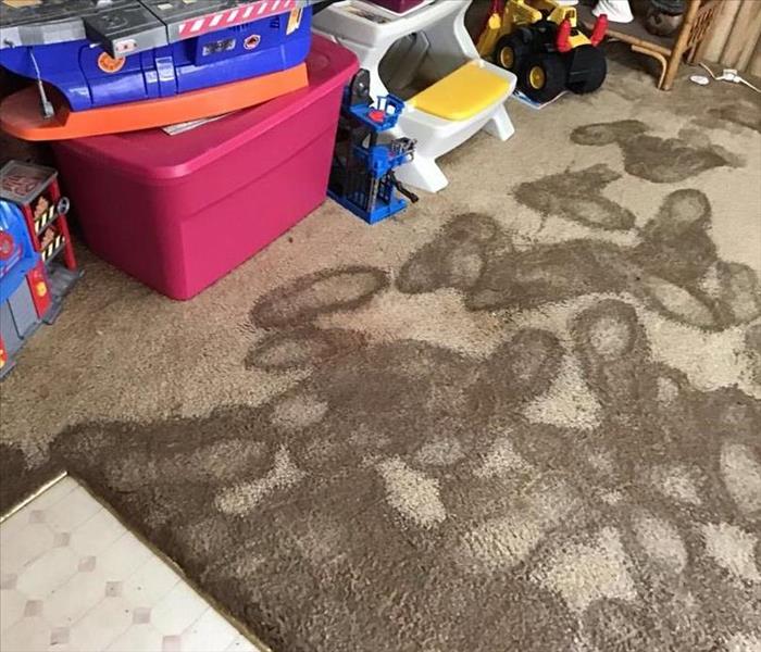 wet carpet, water saturated carpet, foot prints